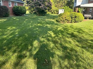 Velma L.'s Lawn Service service result