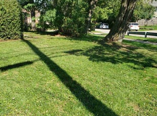 Shariyka N.'s Yard Cutting service result