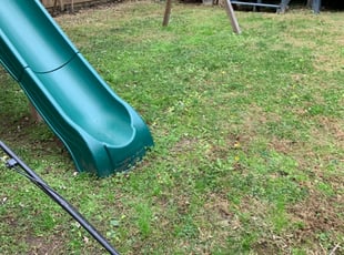 Leaf Removal by Orlando Guevara for Zeshan N. in Takoma Park, MD