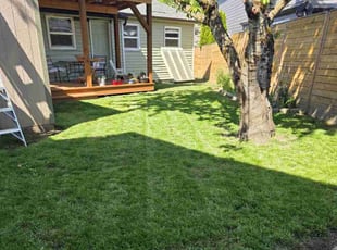 Joy Elizabeth G.'s Lawn Mowing service result