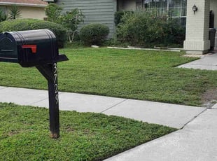 Bush Trimming by Robert Pierson for Vincent G. in New Port Richey, FL