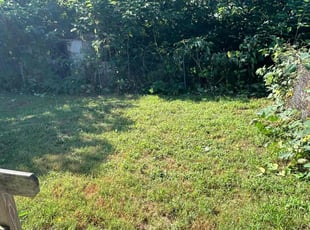 Larry S.'s Bush Trimming service result