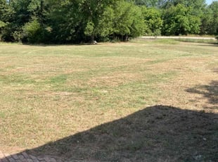 Dalton S.'s Lawn Care service result
