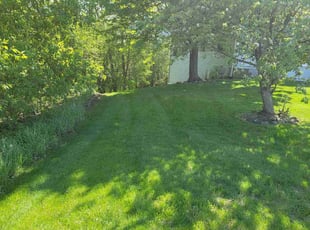 Vicki B.'s Grass Cutting service result