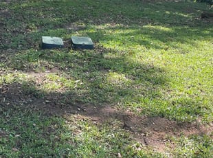 Bush Trimming by Ronald Wade for Preston D. in Tallahassee, FL
