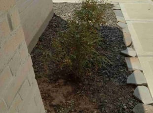 Weeding by Keith Meshell for Kathryn S. in Conroe, TX
