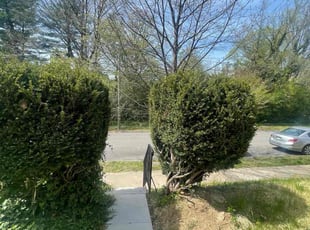 Bush Trimming by Kevin Pagan for Addam S. in Philadelphia, PA