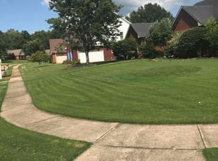 Jessica M.'s Lawn Mowing service result
