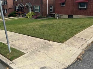 Courtney C.'s Lawn Mowing service result