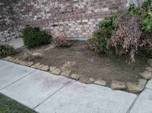 Weeding by Jesus Fortanel for Mike P. in Houston, TX