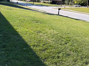 Lory M.'s Lawn Care service result
