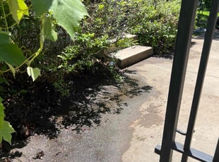 Leaf Removal by Joel Friedrich for Kenneth L. in Kansas City, MO
