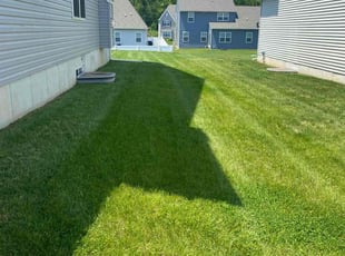 Diany M.'s Lawn Mowing service result