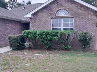 Bush Trimming by Lisa Plunkett for Josh F. in Gulf Breeze, FL