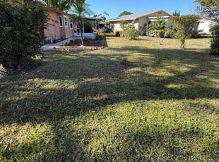 Leaf Removal by Arely Elrod for Chris M. in Sarasota, FL