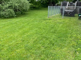 Tina B.'s Lawn Service service result