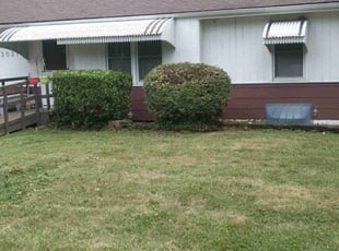 Bush Trimming by Julio Almestica for Dennis P. in Independence, MO