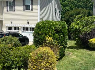 Bush Trimming by Erick G for jean g. in Cary, NC