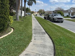 Virginia R.'s Lawn Mowing service result