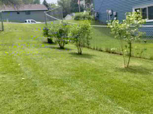 April B.'s Lawn Mowing service result