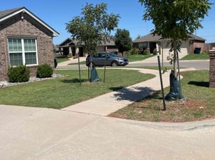 Sandra T.'s Yard Cutting service result