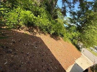 Leaf Removal by Chris Snipes for Angie T. in Fayetteville, NC