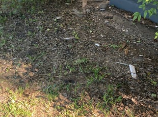 Cleanups by Jacob Rodriguez for Candace W. in Universal City, TX