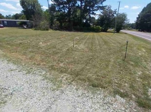 Cecilia A.'s Lawn Mowing service result