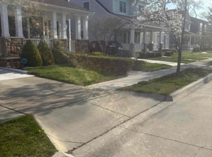 Pat M.'s Lawn Care service result