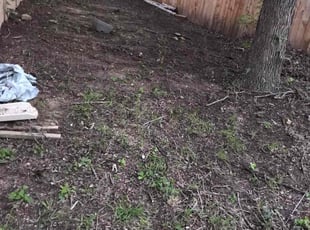 Cleanups by Dunia Paz for Casey S. in Austin, TX