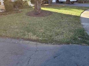 John W.'s Leaf Removal service result