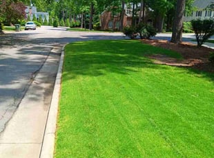 Matthew j.'s Yard Cutting service result