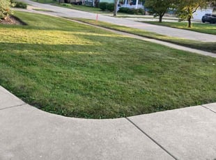 Shannon M.'s Lawn Mowing service result