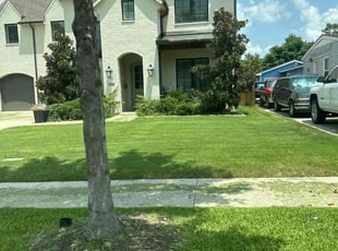 Arthurine W.'s Lawn Care service result