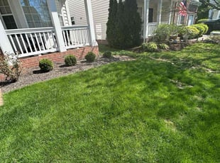 Leaf Removal by Leonardo Feliciano for Ona L. in New Albany, OH