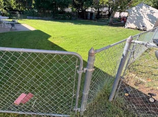 Jason B.'s Yard Cutting service result