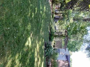 Dave T.'s Lawn Care service result
