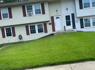 Dona P.'s Lawn Mowing service result