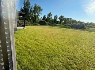 Amalia V.'s Lawn Care service result