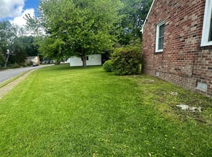 Briseli C.'s Lawn Care service result