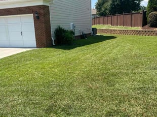 Meghan L.'s Lawn Service service result