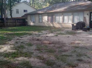 Leaf Removal by Daiby Alvarez for Tristan D. in Porter, TX