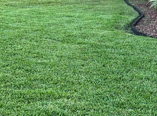 Kathleen T.'s Grass Cutting service result