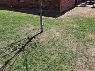 Cleanups by Ernest Howard for Kimberley P. in Frisco, TX