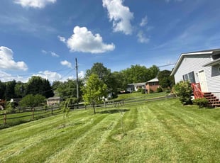 Titanica P.'s Lawn Service service result