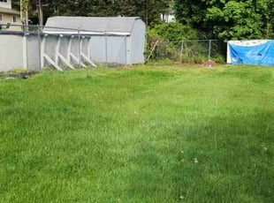 Jesus R.'s Lawn Mowing Service service result