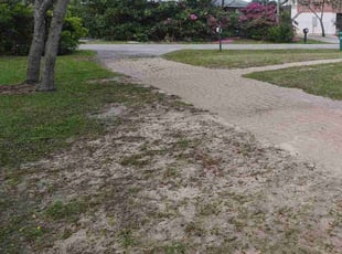 Leaf Removal by Jenna Estrada for Daniel C. in Santa Rosa Beach, FL