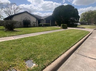 Nathan T.'s Lawn Mowing service result