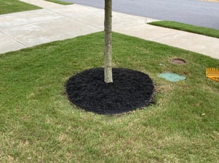 Mulching by Fredrick thomason for Joe S. in Fountain Inn, SC