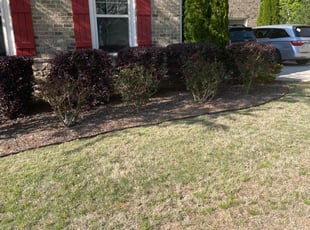 Bush Trimming by Mark Perugini for Angela D. in Kennesaw, GA